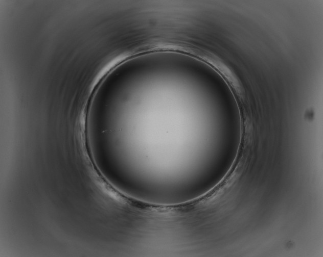 X0000102541198200808081514