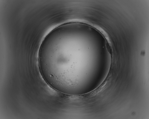 X0000102541199200808081514