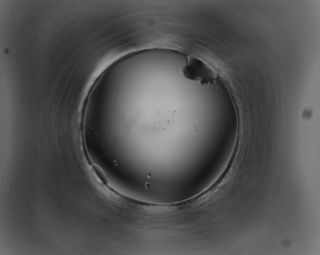 X0000102541200200808081514