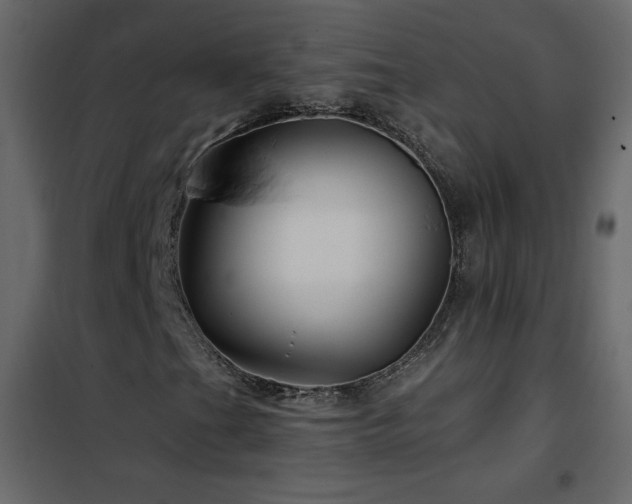 X0000102541201200808081513
