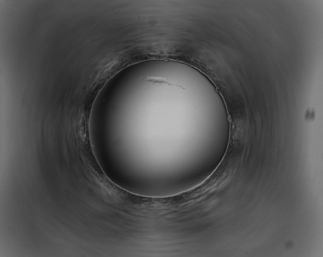X0000102541202200808081513