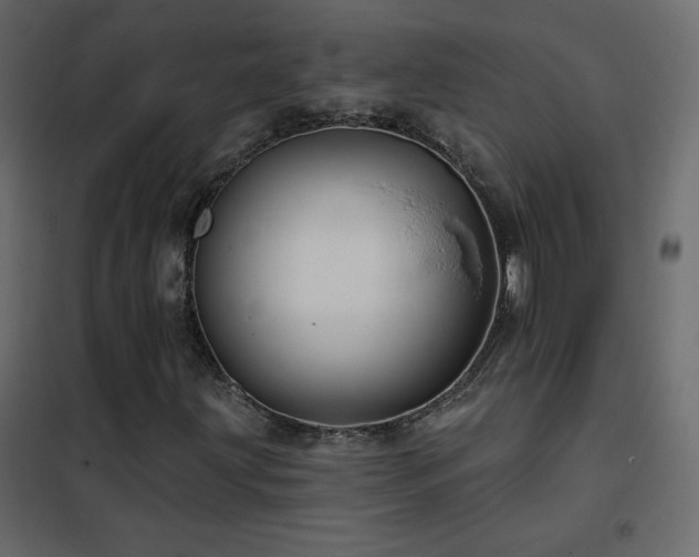 X0000102541203200808081513