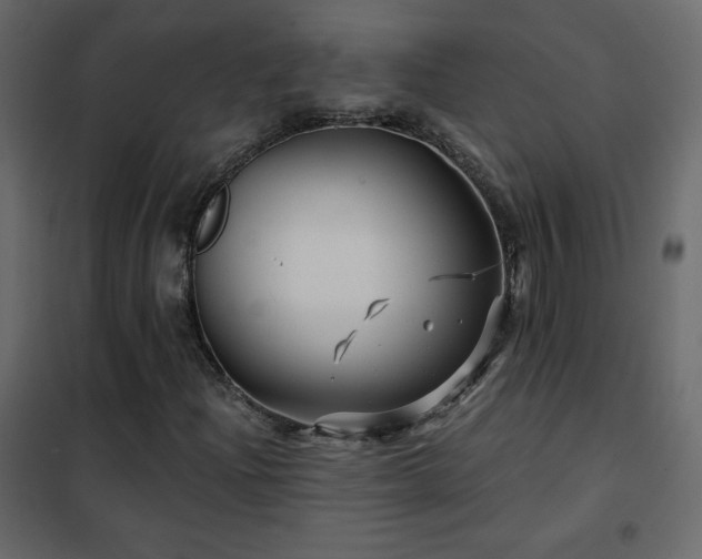 X0000102541204200808081513