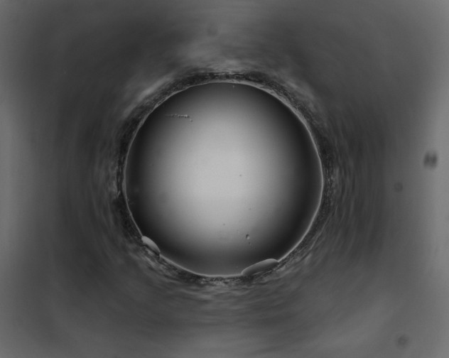 X0000102541205200808081513