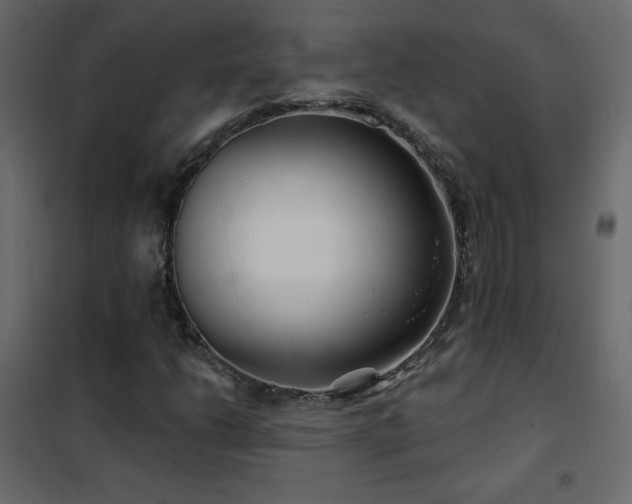 X0000102541206200808081513