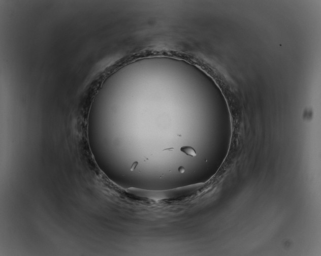 X0000102541207200808081513