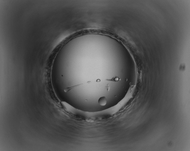 X0000102541208200808081513