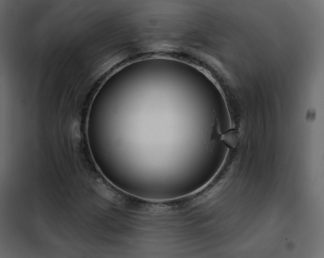 X0000102541209200808081513