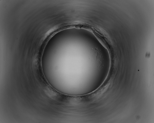 X0000102541210200808081513