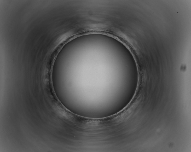 X0000102541211200808081513