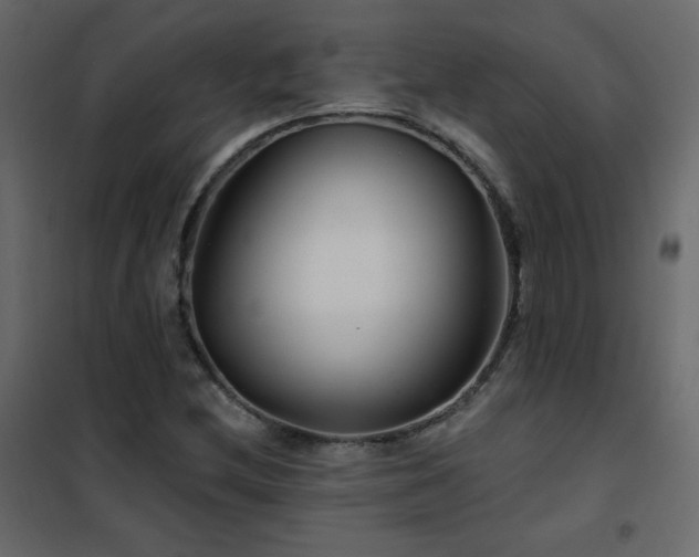X0000102541212200808081513