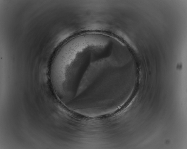 X0000102541213200808081513