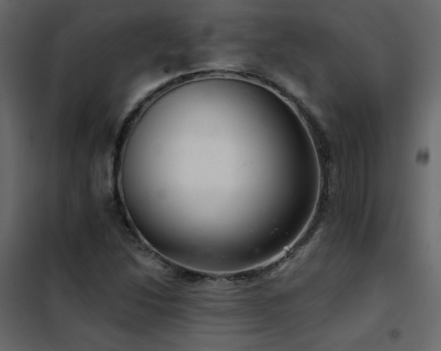 X0000102541214200808081513