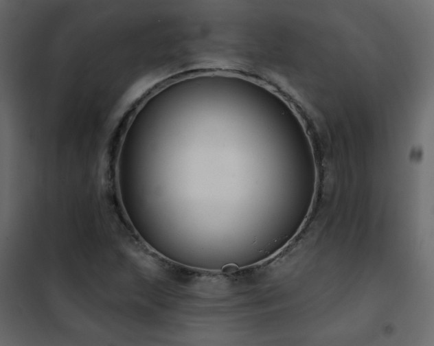 X0000102541215200808081513
