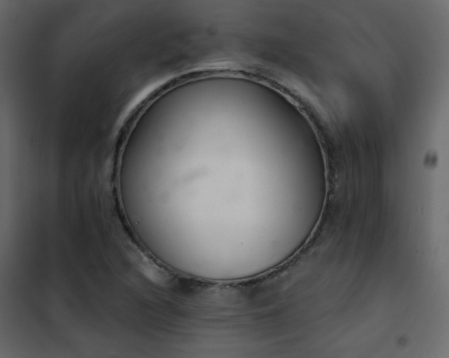X0000102541216200808081513