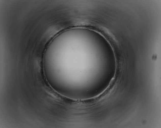 X0000102541217200808081513