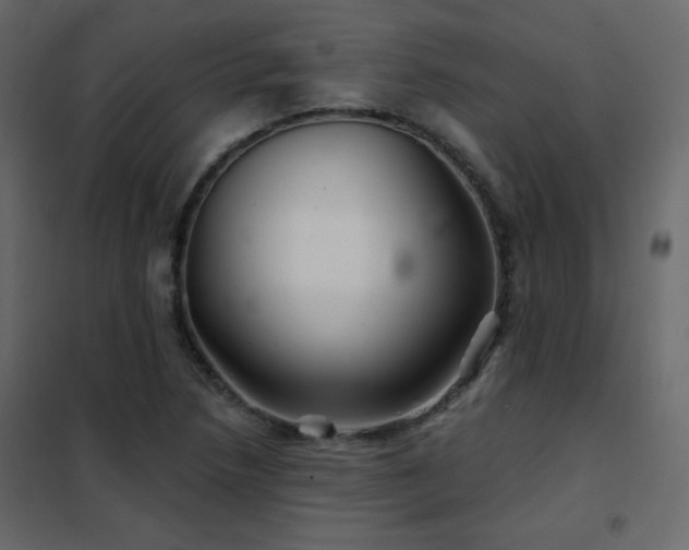 X0000102541218200808081513