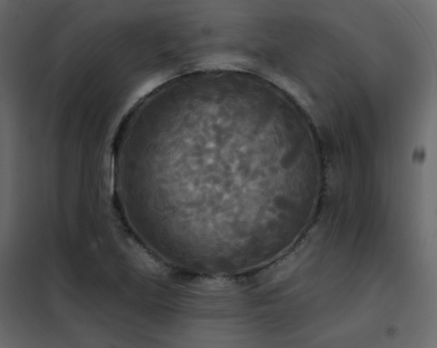 X0000102541219200808081513