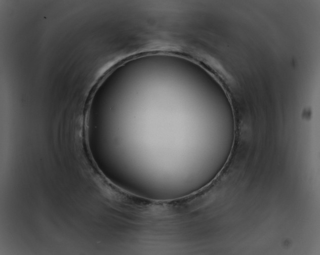 X0000102541220200808081513