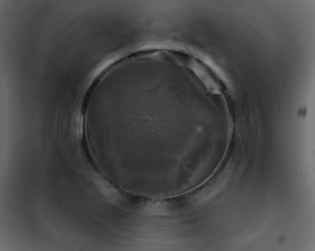 X0000102541221200808081513
