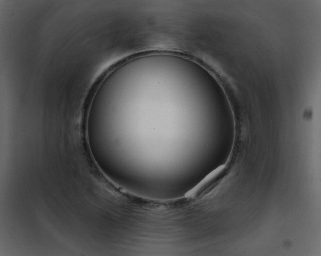 X0000102541222200808081513
