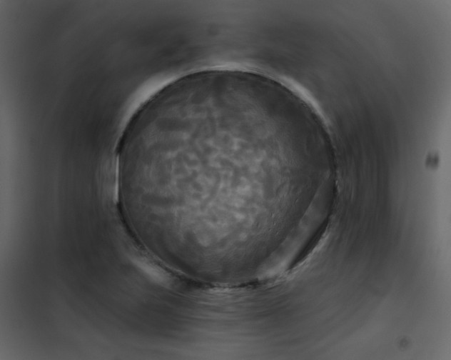 X0000102541223200808081513