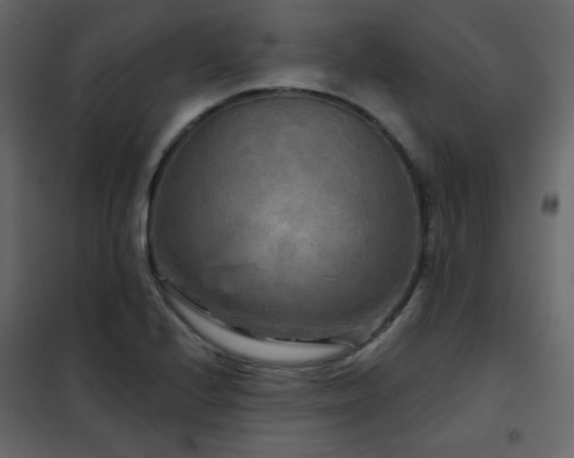 X0000102541224200808081513