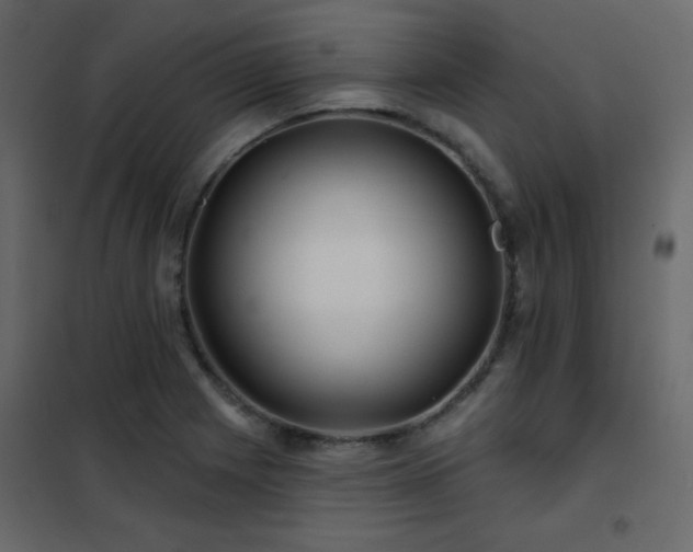 X0000102541225200808081513