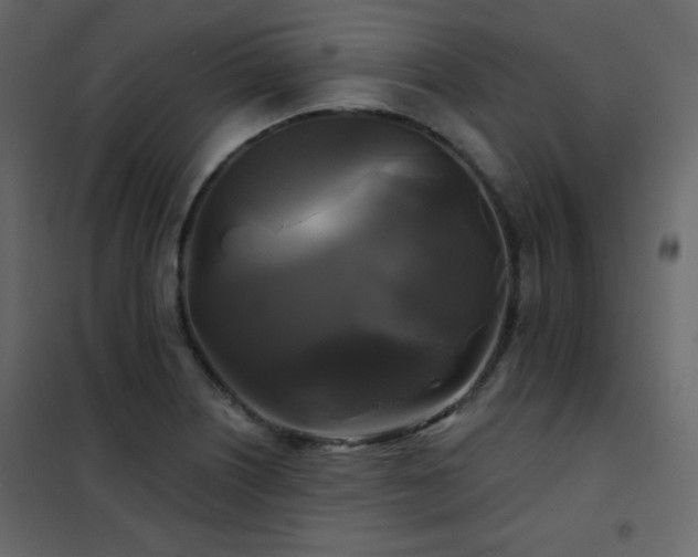 X0000102541226200808081513