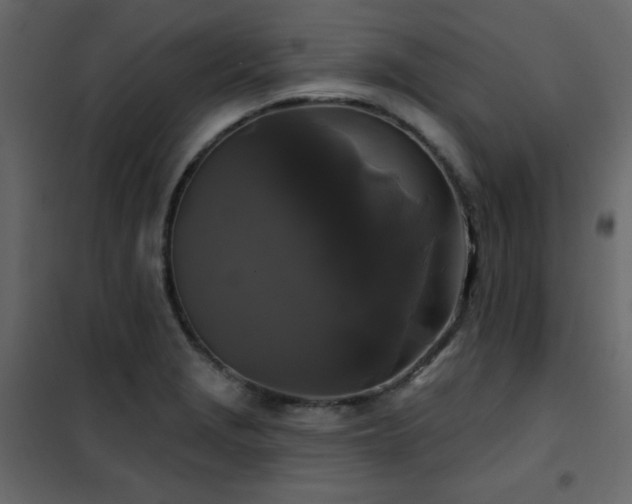 X0000102541229200808081514