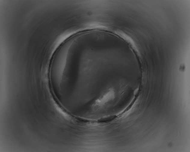 X0000102541231200808081514