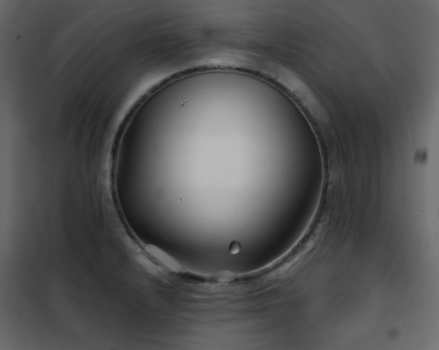 X0000102541232200808081514