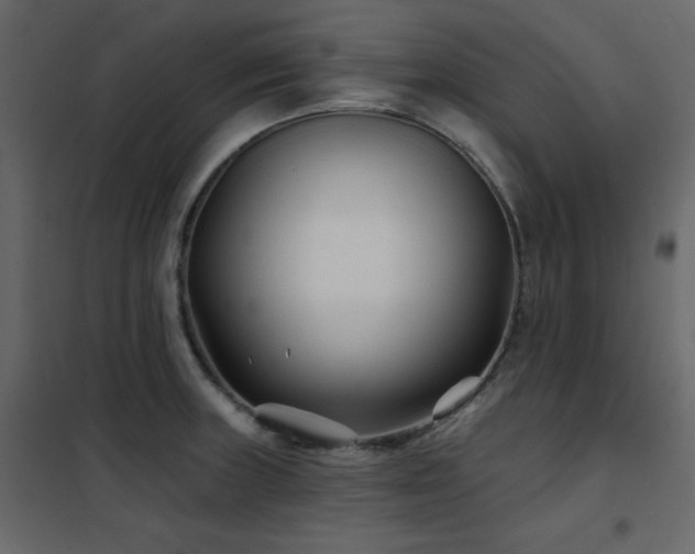 X0000102541235200808081514