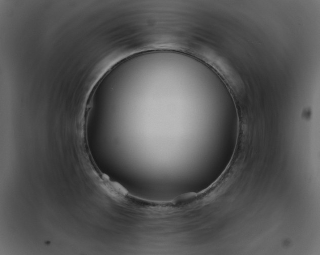 X0000102541236200808081514