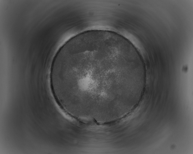 X0000102541237200808081514