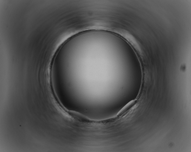 X0000102541238200808081514
