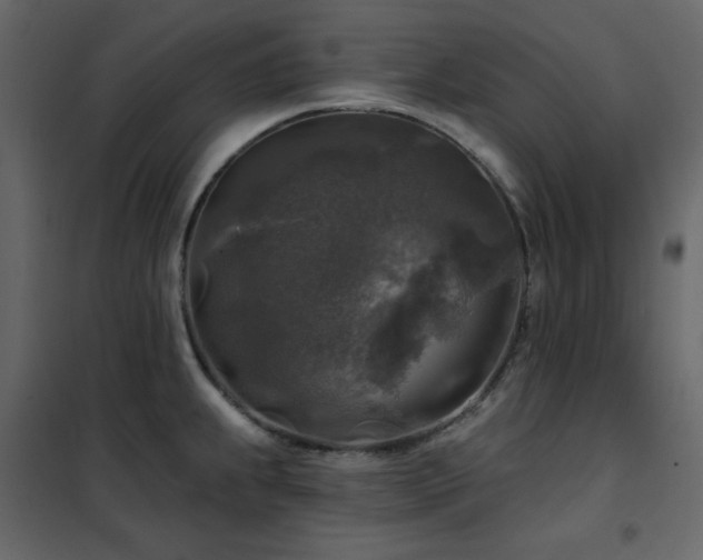 X0000102541239200808081514