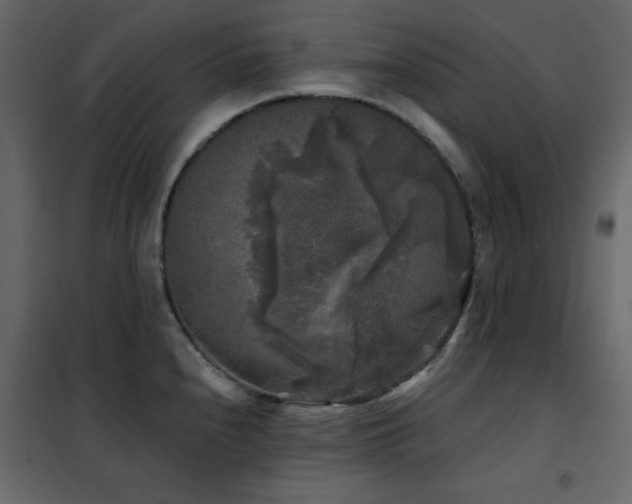X0000102541240200808081514