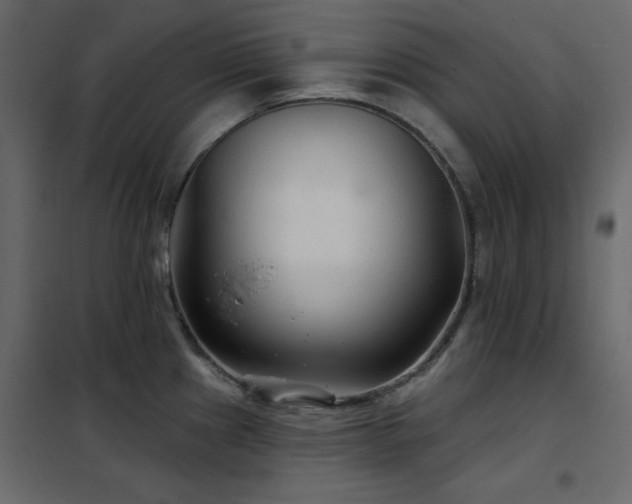 X0000102541241200808081514