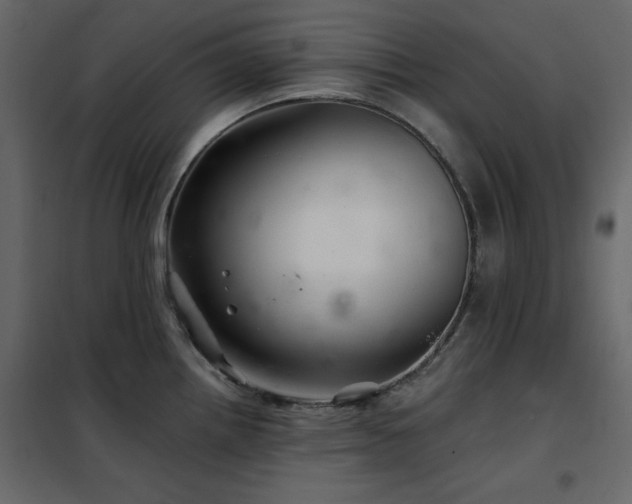 X0000102541242200808081514