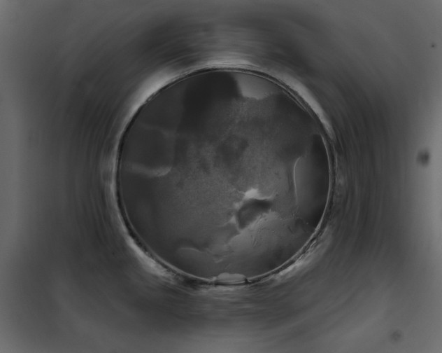 X0000102541245200808081514
