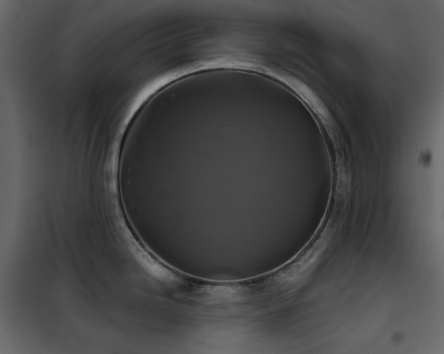 X0000102541246200808081514
