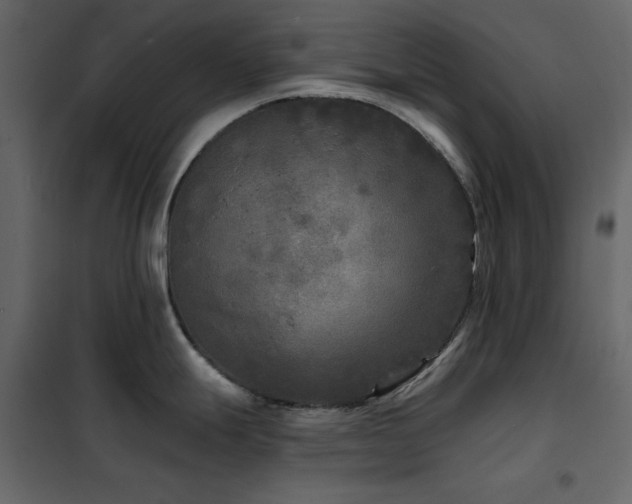 X0000102541247200808081514