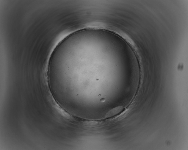 X0000102541248200808081514