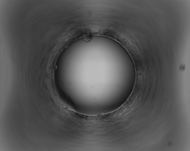 X0000102541249200808081513