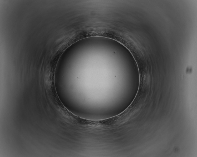 X0000102541250200808081513