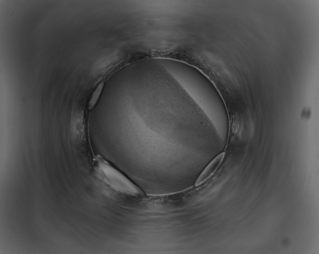 X0000102541252200808081513
