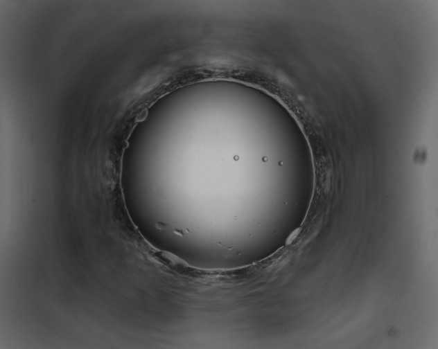 X0000102541253200808081513
