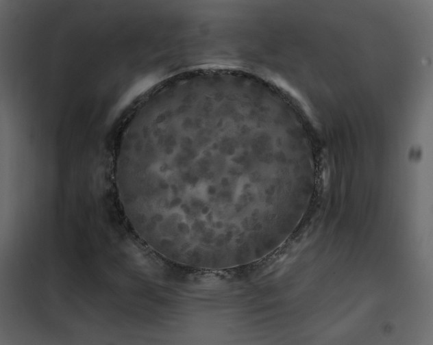 X0000102541255200808081513