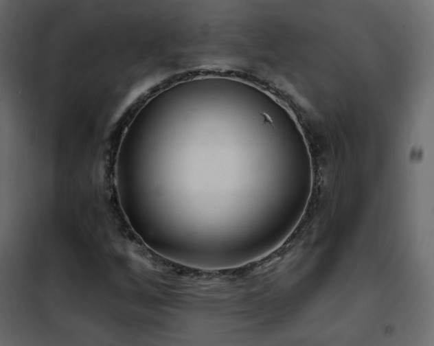 X0000102541256200808081513